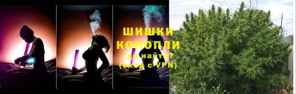 меф Арсеньев