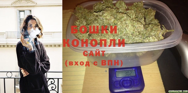 гидра Армянск